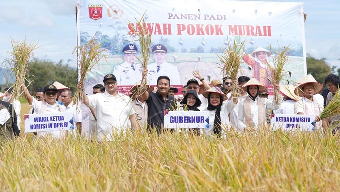 Titik Soeharto menyaksikan Sawah Pokok Murah di Kabupaten Agam, Sumatera Barat, Sabtu (21/06/2025).