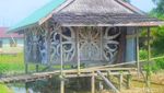 Potret Telinga Panjang Simbol Kecantikan dalam Tradisi Dayak