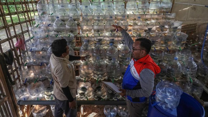 Galon Bekas Disulap Jadi Rusun Kepiting Ramah Lahan Petugas Kilang Pertamina Unit Cilacap bersama warga melakukan monitoring rumah susun kepiting yang terbuat dari galon bekas air mineral di Desa Kutawaru, CIlacap, Jawa Tengah, Jumat (20/6/25). Kelompok Mamaku melakukan replikasi metode rumah susun kepiting berbasis energi (Rusun Tinggi) Kilang Pertamina International Unit Cilacap hanya dengan menggunakan galon bekas air mineral yang dibentuk secara vertikal untuk budi daya kepiting cangkang lunak karena tidak membutuhkan lahan yang luas. ANTARA FOTO/Idhad Zakaria/agr