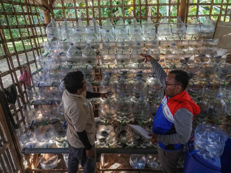 Galon Bekas Disulap Jadi Rusun Kepiting Ramah Lahan