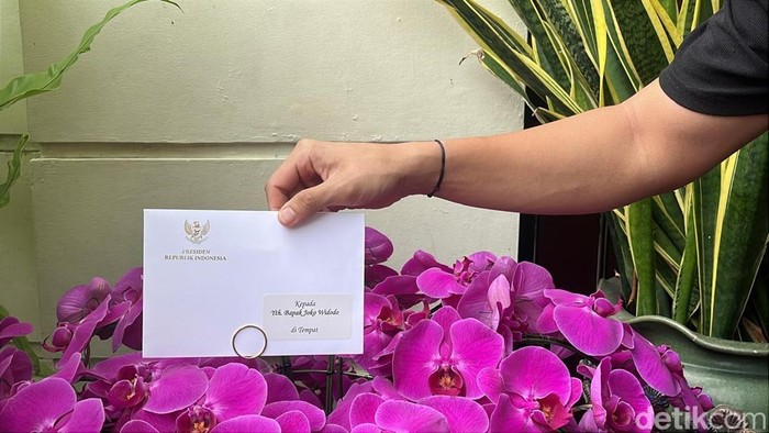 Penampakan bunga anggrek ungu kiriman Presiden Prabowo Subianto sebagai ucapan selamat ulang tahun ke-64 bagi Presiden Ke-7 Joko Widodo (Jokowi) di Sumber, Banjarsari, Solo, Minggu (22/6/2025).