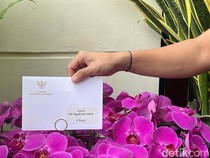 Jokowi Ultah Ke-64, Presiden Prabowo Kirim Buket Anggrek Ungu