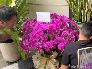 Anggrek Ungu dan Putih dari Prabowo-Mayor Teddy di Ultah ke-64 Jokowi