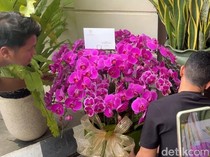 Anggrek Ungu dan Putih dari Prabowo-Mayor Teddy di Ultah ke-64 Jokowi