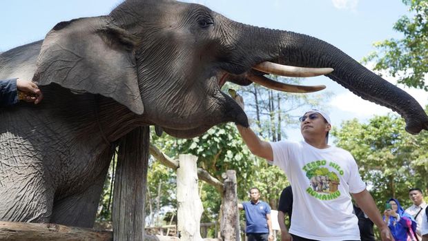 Kapolda Riau Irjen Herry Heryawan mengajak masyarakat untuk menyelamatkan hutan Tesso Nilo, rumah gajah Domang dan Tari, Minggu (22/6/2025).