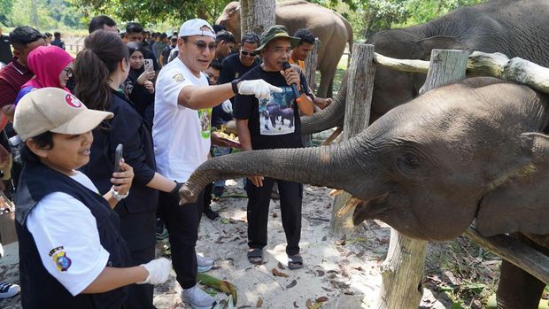 Kapolda Riau Irjen Herry Heryawan mengajak masyarakat untuk menyelamatkan hutan Tesso Nilo, rumah gajah Domang dan Tari, Minggu (22/6/2025).