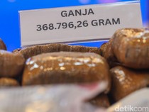 Video BNN soal Larang Tangkap Artis Pemakai Narkoba: Dibawa ke Rehabilitasi