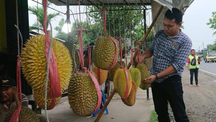 8 Durian Unggulan Jawa Timur