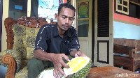 Dari Desa Jambe Kumbu, Lumajang, ada durian Gencono yang banyak tumbuh di lereng Gunung Semeru. Durian ini punya rasa manis pahit yang khas. Biasanya dijual dalam kondisi masak pohon. Foto: Nur Hadi Wicaksono/detikcom