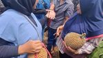 Jagonya Penghasil Durian! Ini 8 Durian Unggulan Jawa Timur