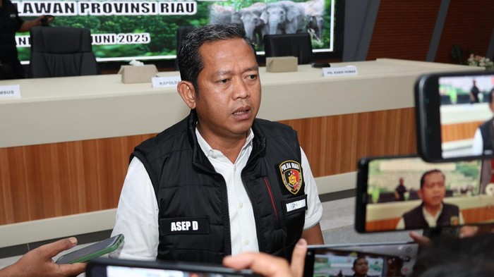 Direktur Reskrimum Polda Riau Kombes Asep Darmawan. (Dok Istimewa)