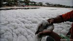 Fenomena Busa Limbah Kembali Muncul di BKT Marunda