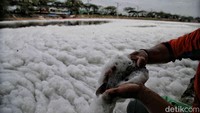 Busa putih tampak mengambang tebal di atas permukaan air, menyerupai tumpukan salju. Meski tampak unik, kondisi ini menyimpan ancaman serius bagi lingkungan dan kesehatan warga.