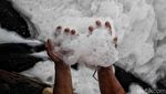 Fenomena Busa Limbah Kembali Muncul di BKT Marunda