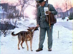 Foto Hitam Putih Jadi Berwarna: Sejarah Terasa Lebih Hidup dan Nyata