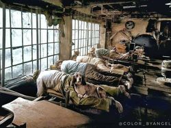 Foto Hitam Putih Jadi Berwarna: Sejarah Terasa Lebih Hidup dan Nyata