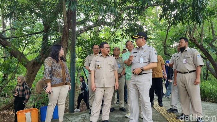 Gubernur Jakarta Pramono Anung meninjau Taman Hutan Kota Srengseng, Jakarta Barat (Taufiq S/detikcom)