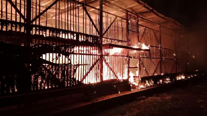 Kandang ayam di Ciamis terbakar