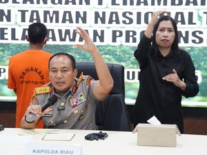 Menyuarakan Penyelamatan Tesso Nilo untuk Kebebasan Gajah Domang dan Tari