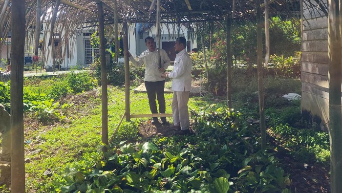 Melestarikan Aren Endemik Cagar Alam Martelu Purba