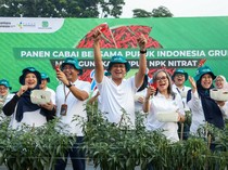 Pupuk Indonesia Kenalkan NPK Nitrat, Bawang Merah & Cabai Tahan Musim Hujan