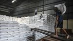 Stok Beras Melimpah! Pemerintah Punya 4,15 Juta Ton di Gudang Bulog