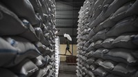 Pekerja mengangkut beras di Gudang Bulog Tambak Aji, Semarang, Jawa Tengah, Senin (23/6). Aktivitas ini menjadi bukti bahwa pemerintah terus bergerak menjaga ketersediaan pangan nasional. ANTARA FOTO/Aprillio Akbar