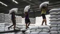 Kabar baik datang dari sektor pangan nasional. Per 20 Juni 2025, Badan Pangan Nasional (Bapanas) mencatat stok Cadangan Beras Pemerintah (CBP) yang tersimpan di gudang-gudang Perum Bulog telah mencapai 4,15 juta ton. ANTARA FOTO/Aprillio Akbar