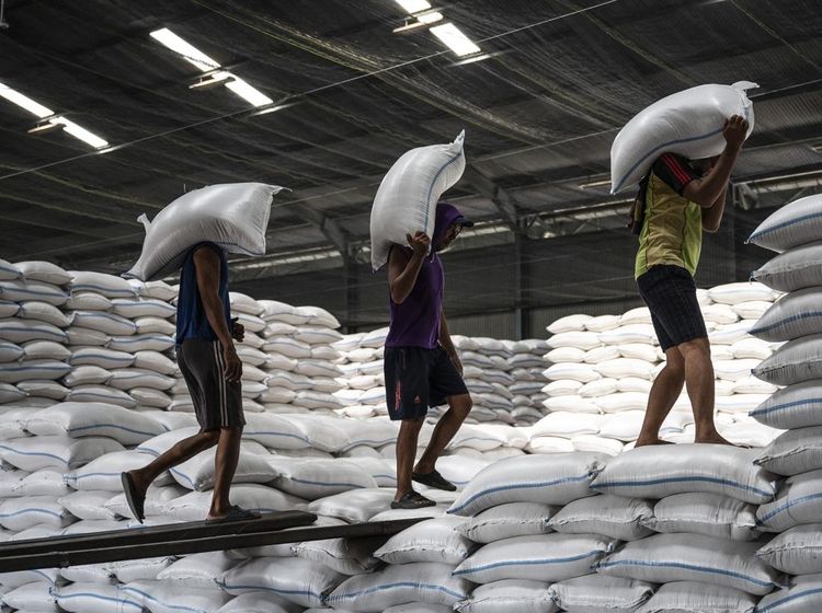 Stok Beras Melimpah! Pemerintah Punya 4,15 Juta Ton di Gudang Bulog