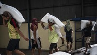 Dengan cadangan yang cukup, pemerintah optimis bisa menstabilkan pasokan dan harga beras di pasaran. ANTARA FOTO/Aprillio Akbar