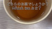 Selain matcha, pengunjung juga dilatih mengenal perbedaan teh. Hasil seduhan dari teh yang diberi penutup pada proses penanaman akan berbeda dengan teh yang langsung terpapar matahari. Foto: Instagram/uji_chazuna