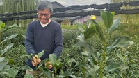 Kyoto, Jepang terkenal dengan produksi matcha dan tehnya. Ternyata ada taman hiburan atau theme park bernama Chazuna yang dapat dikunjungi di sana. Foto: Instagram/uji_chazuna