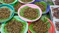 Hidangan orang kaya yang juga dicap buang-buang duit, escamoles yang juga disebut caviar-nya Meksiko. Hidangan ini berupa larva dan pupa semut hitam besar. Rasanya konon mirip jagung. Foto: Getty Images/iStockphoto/alan_fisher