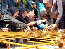 Konservasi Laut Trenggalek, Transplantasi Ribuan Terumbu Karang Berhasil