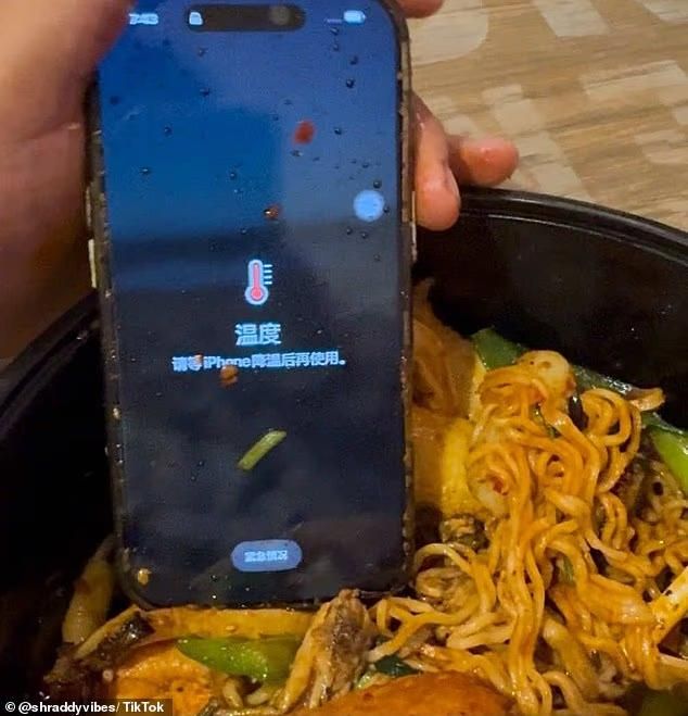 Beli Hotpot Gratis Handphone! Wanita Hampir Celaka Gegara Makanannya