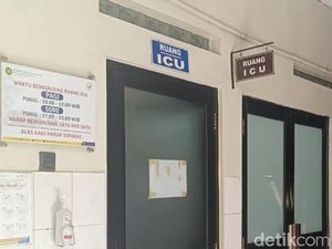 Bocah Korban Gigitan Ular Weling Masih di ICU Usai Terima 21 Antivenom