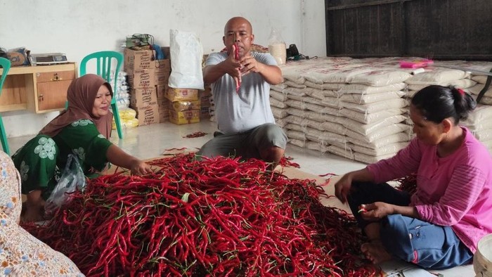 BRI Salurkan Pembiayaan kepada Koperasi Penyuplai Bahan Pangan MBG