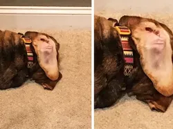 Apa yang Kamu Lihat di Foto Ini Bisa Jadi Salah!