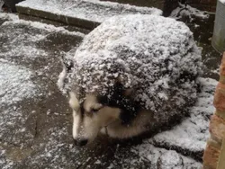 Apa yang Kamu Lihat di Foto Ini Bisa Jadi Salah!