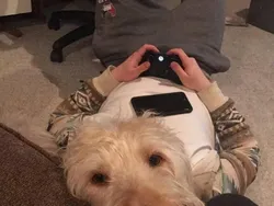 Apa yang Kamu Lihat di Foto Ini Bisa Jadi Salah!