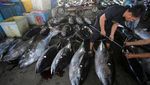 Cuaca Buruk Bikin Harga Ikan Tuna Naik di Banda Aceh