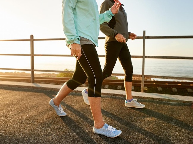 Ilustrasi jalan kaki Cropped shot of two senior women walking together in morning