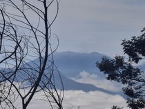 Pengamatan Kolom Api Gunung Raung Pakai Drone Gagal Akibat Kabut Tebal