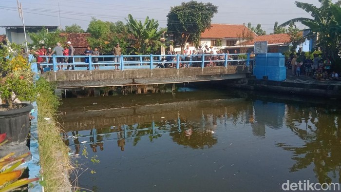 Evakuasi wanita terapung di sungai Karangdowo, Klaten, Selasa (24/6/2025).