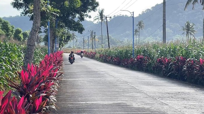 Penampakan jalanan Desa Suberagung setelah hadirnya PT BSI di Banyuwangi