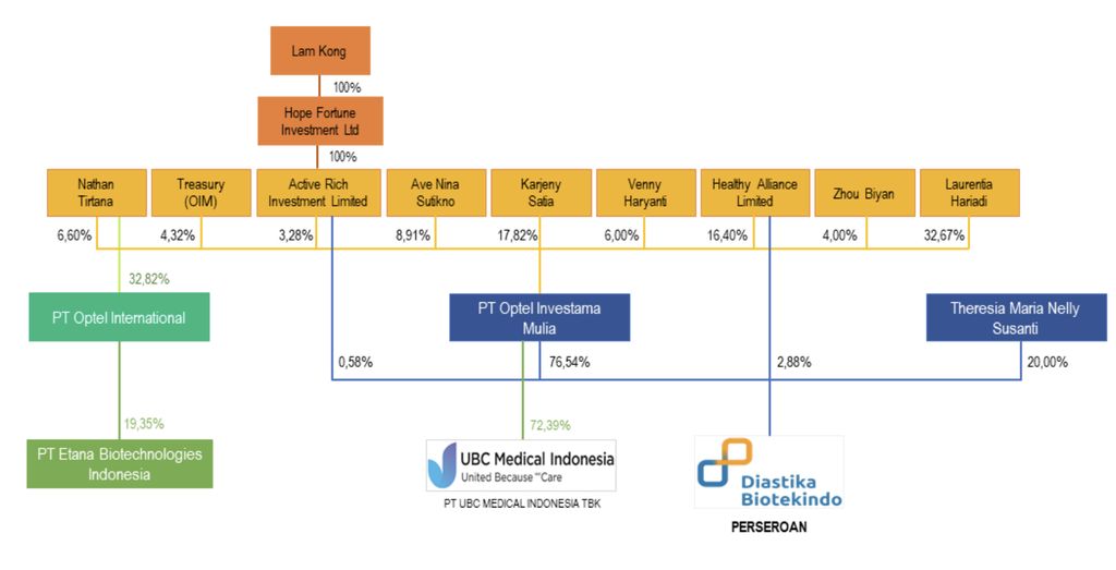 Struktur Kepemilikan CHEK