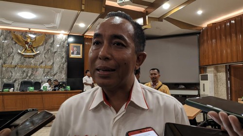 Anggota Komisi V DPR RI, Mori Hanafi, dari Dapil NTB I Pulau Sumbawa saat ditemui di Mataram, Rabu (25/6/2025). (Ahmad Viqi/detikBali)