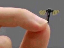 China Kembangkan Drone Mikro untuk Militer dan Spionase