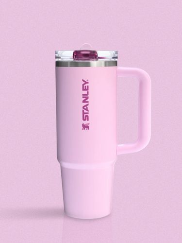 Stanley Quencher Protour.