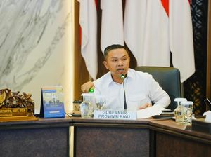 Hotspot di Riau Sudah Banyak Padam, Patroli Darat dan Udara Digencarkan